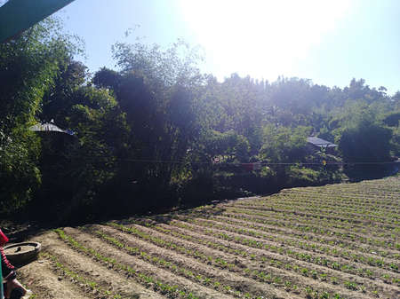 Hello, It's ASHRAF, a fancy photographer and HR- data analyst expert.の写真素材