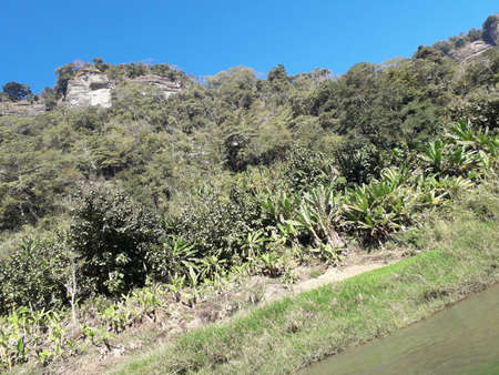 Hello, It's ASHRAF, a fancy photographer and HR- data analyst expert.の写真素材