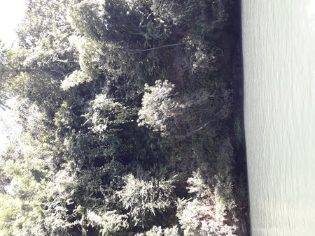 Hello, It's ASHRAF, a fancy photographer and HR- data analyst expert.の写真素材