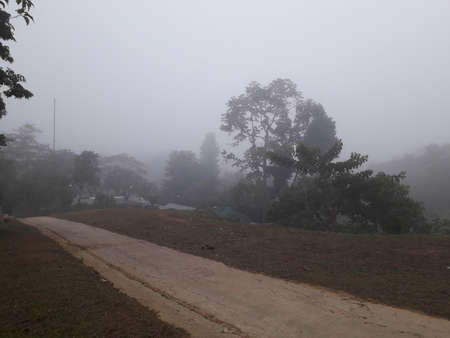 Hello, It's ASHRAF, a fancy photographer and HR- data analyst expert.の写真素材