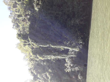 Hello, It's ASHRAF, a fancy photographer and HR- data analyst expert.の写真素材