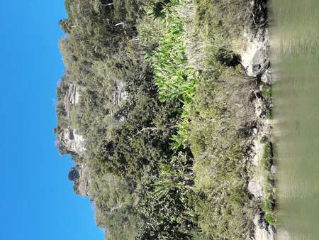 Hello, It's ASHRAF, a fancy photographer and HR- data analyst expert.の写真素材