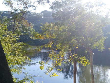 Hello, It's ASHRAF, a fancy photographer and HR- data analyst expert.の写真素材