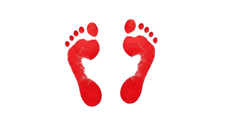 Red footprint isolated on white background with clipping path. Footprint of a child.の素材