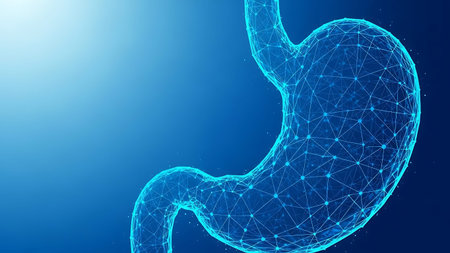 A blue-toned digital artwork depicting the human stomach with a network of lines and dots.の素材