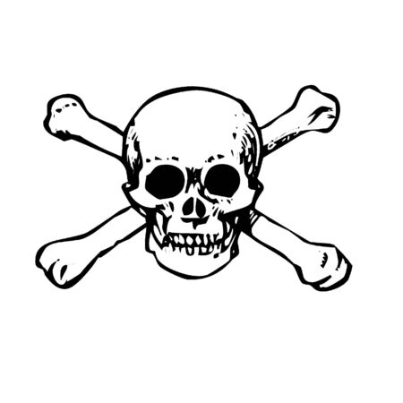 Skullの写真素材