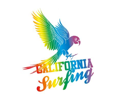 summer birds parrot surf beach vector artのイラスト素材