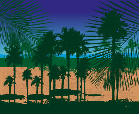 paradise palm beach vector artのイラスト素材
