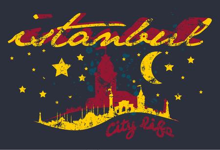 istanbul big city vector artのイラスト素材