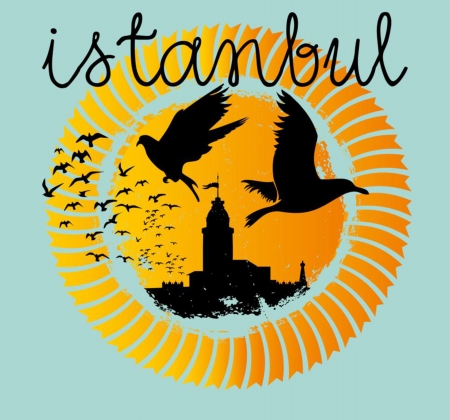 istanbul big city vector artのイラスト素材