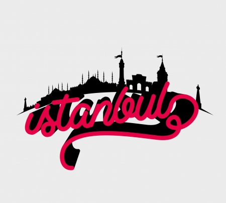 istanbul big city vector artのイラスト素材