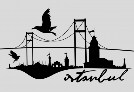 istanbul big city vector artのイラスト素材