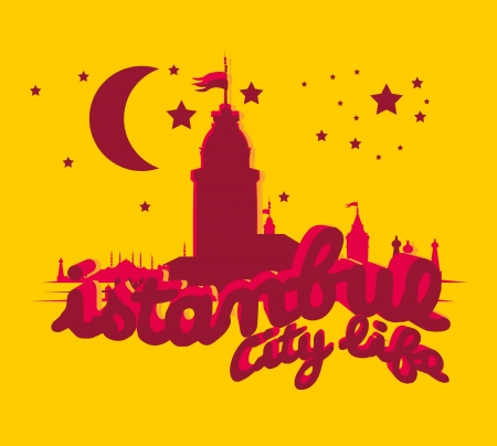istanbul big city vector artのイラスト素材