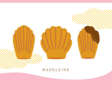 French classic traditional dessert madeleine material setのイラスト素材