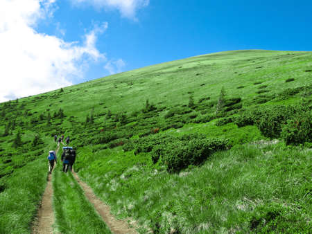 Gravel road on the slope of a green hill