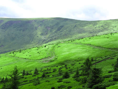 S-shaped road on the hillside