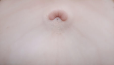 Pregnant woman belly close-up. Intimate portrait of a pregnant woman.の素材