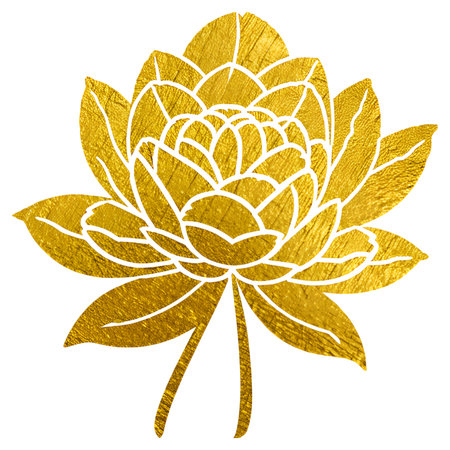golden lotus flower on a white background. vector illustration.の写真素材
