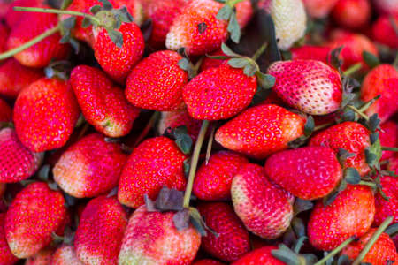 red strawberriesの写真素材