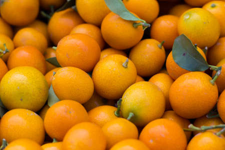 oranges are all orangeの写真素材