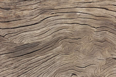 Wood texture の素材