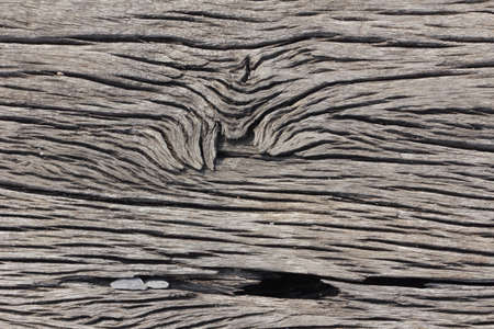 Wood texture の素材