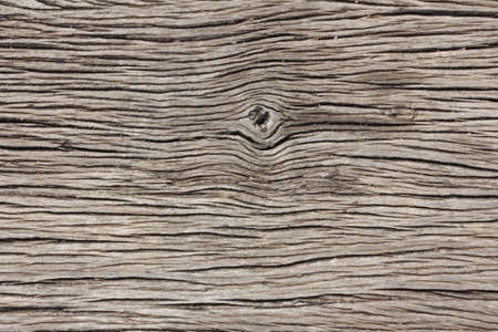 Wood texture の素材