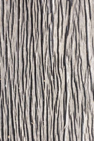 Wood texture の素材