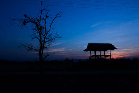 Silhouette of a hut and tree at sunset in Chiang rai, Thailandの写真素材