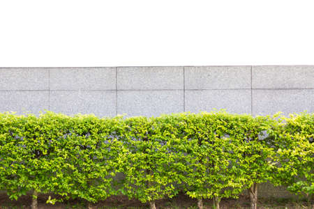 brick fence behind decorative garden isolated on white background.の写真素材