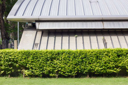 green bushes and building in public park.の写真素材
