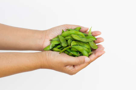 Hyacinth bean in woman's hand isolated on white background.