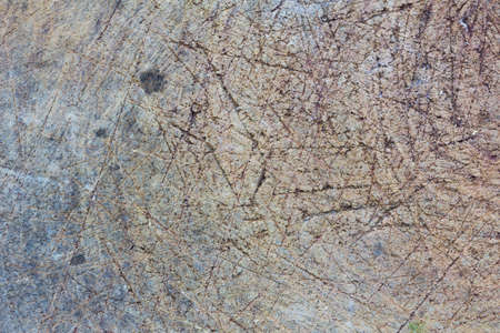 Texture of wood background closeup.の写真素材