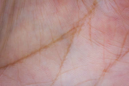 Detailed view of hand palmの写真素材