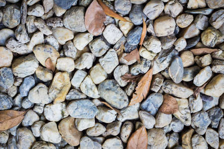 natural background image of pebbles in the park with dry leaves.