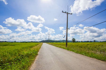 Road through rice fields in Thailand.の写真素材