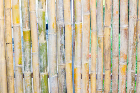 close-up of bamboo fence background in the park, outdoorの写真素材