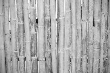close-up of bamboo fence background in the park, outdoor, black and whiteの写真素材
