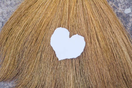 heart made of paper on the broomの写真素材