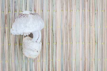 eatable mushrooms on traditional mat for cook with copyspaceの写真素材