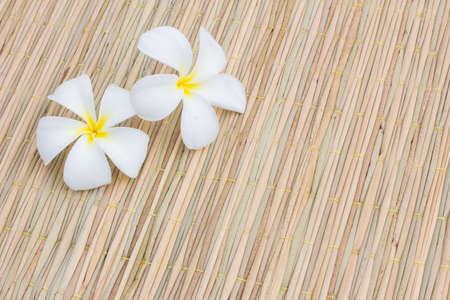 White Plumerias on thai traditional matの写真素材