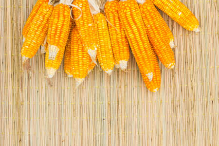 dry corn on thai traditional mat with copyspace on the below, background