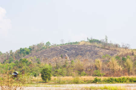 hill without trees because of fire with trace lineの写真素材