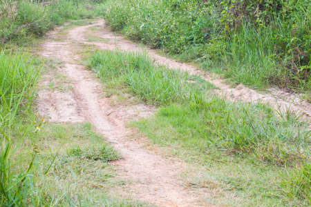 Country road with a old border directing to far.の写真素材