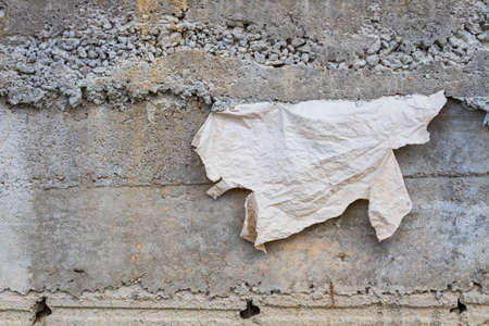 Simple gray concrete wall background with piece of old paper.の写真素材