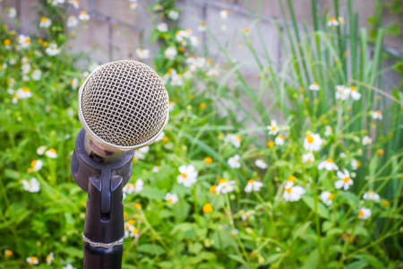 microphone in the background of blurred garden with white flowers and copyspace on the right.の写真素材