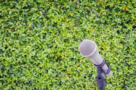 microphone on the background of blurred green leaves or bush. soft focus .shallow depth of fieldの写真素材