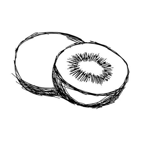 illustration vector doodle hand drawn of sketch kiwi isolatedのイラスト素材