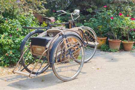 CHIANG RAI, THAILAND - APRIL 25 : classic wheeler Tricycle bicycle in the fresh garden on April 25, 2016 in Chiang rai, Thailandのeditorial素材