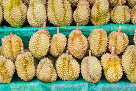 Durian, King of Fruit, for selling in Thailand.の写真素材